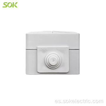 Interruptor de luz LED y enchufe de 2 clavijas redondas